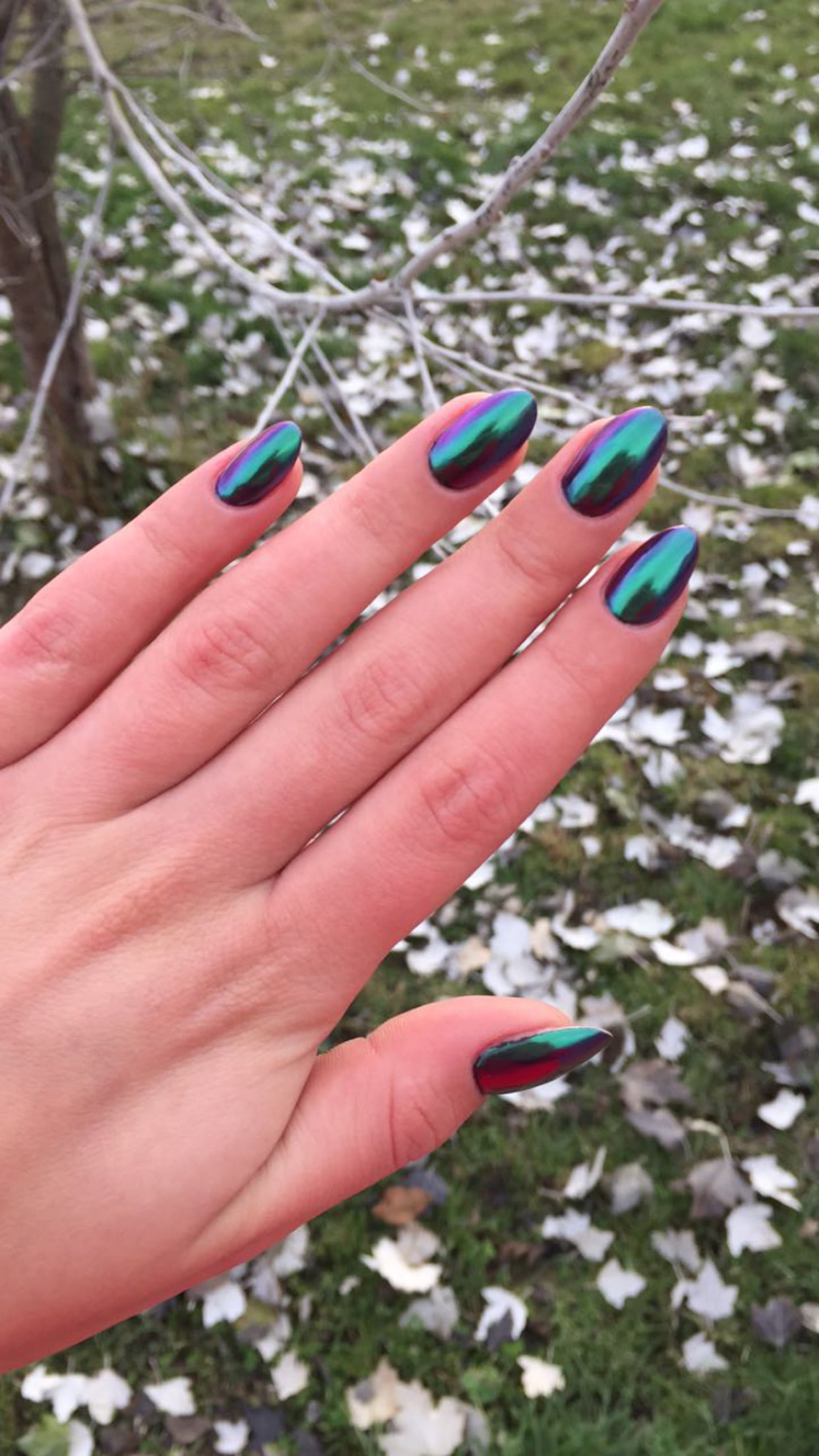 Salon One nail salon in East Belfast 3